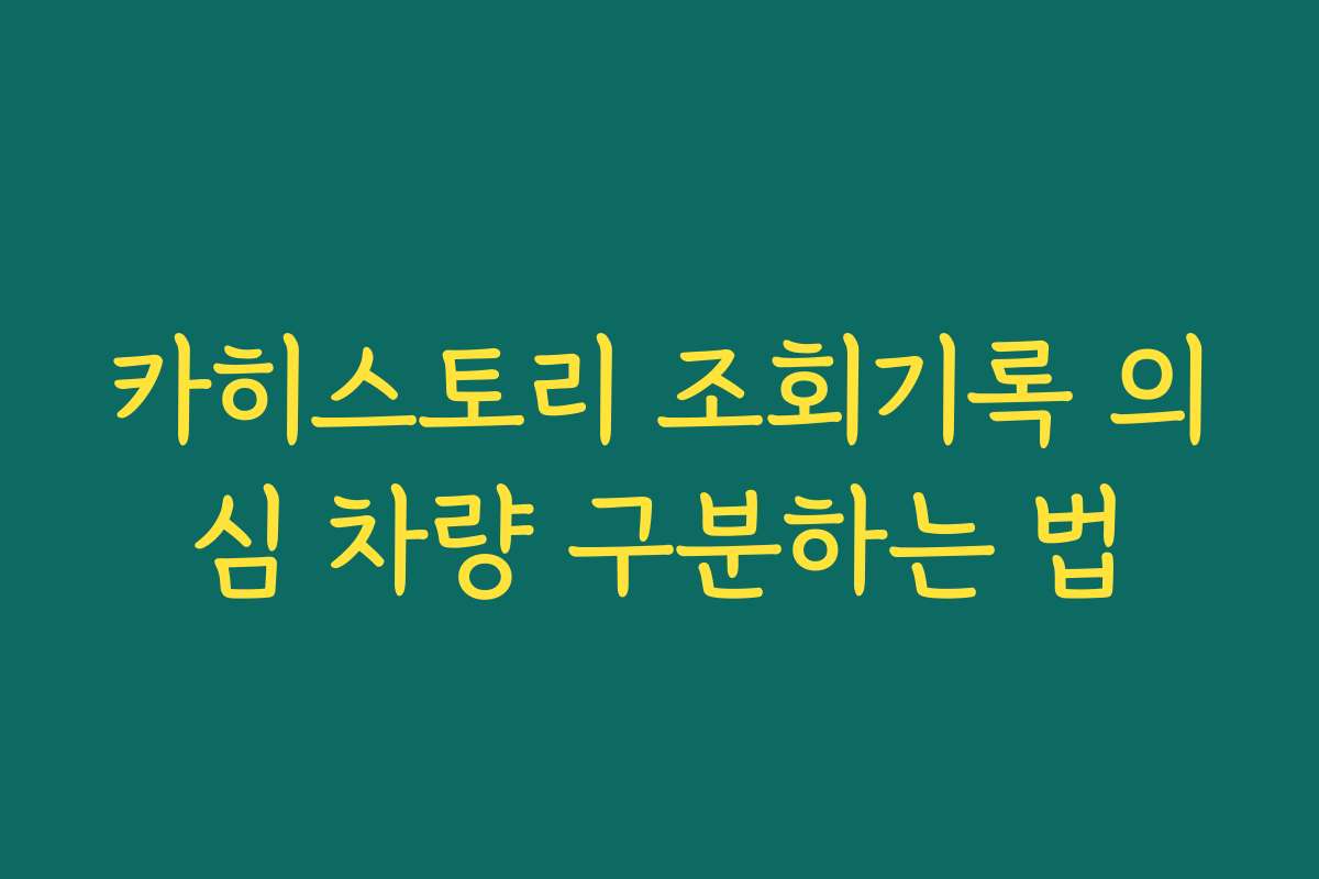 카히스토리 조회기록 의심 차량 구분하는 법 카히스토리 조회기록 의심 차량 구분하는 법