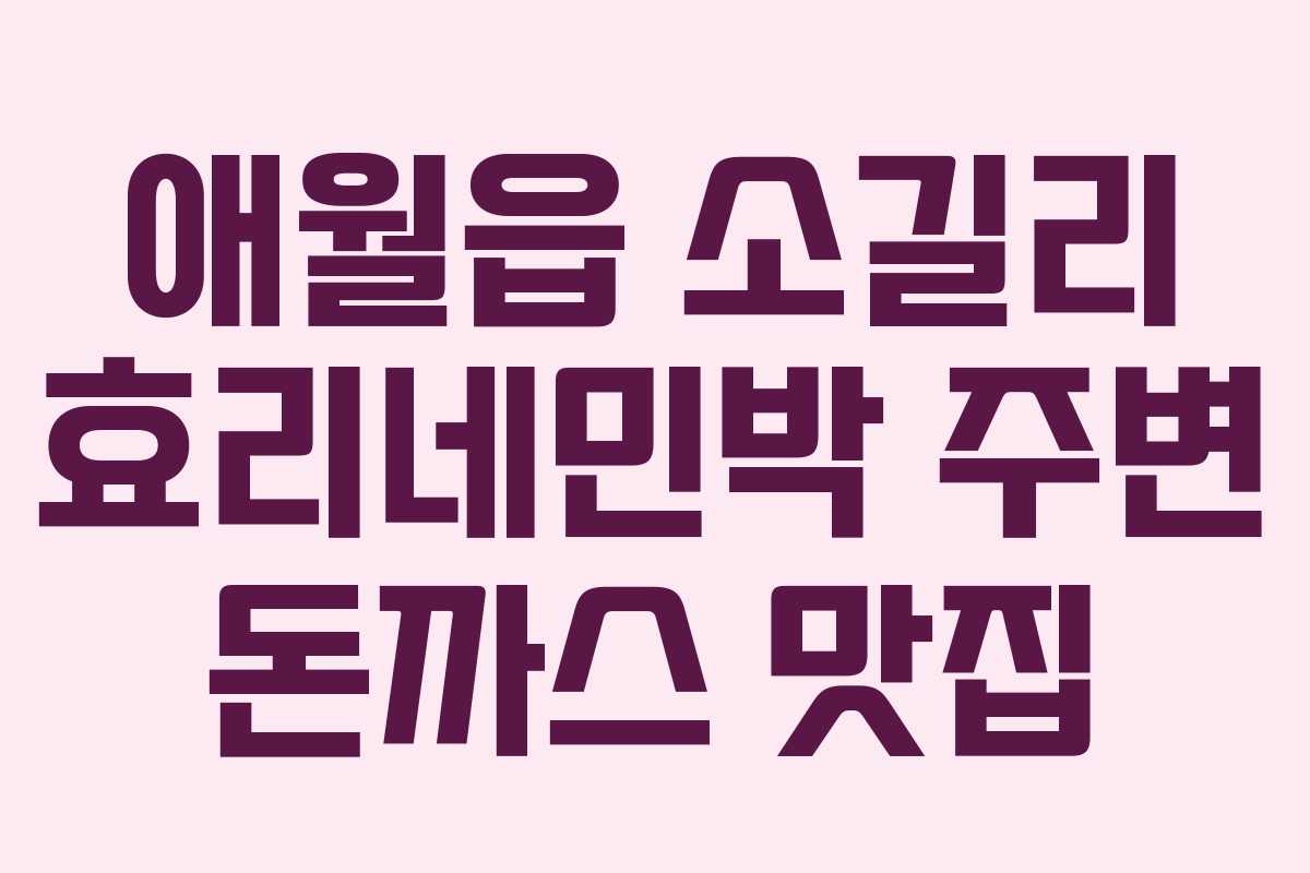 애월읍 소길리 효리네민박 주변 돈까스 맛집 애월읍 소길리 효리네민박 주변 돈까스 맛집