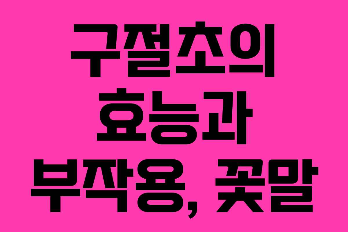 구절초의 효능과 부작용, 꽃말 구절초의 효능과 부작용, 꽃말